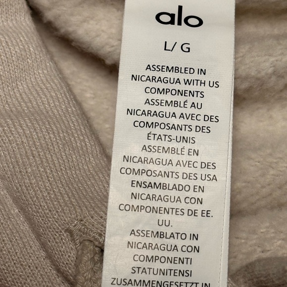 Alo Yoga Accolade Hoodie in Bone L - Picture 7 of 7